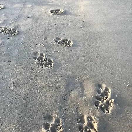 „nova Polana” Polanki Park Apartment *