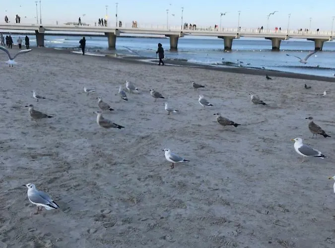 „nova Polana” Polanki Park アパート *